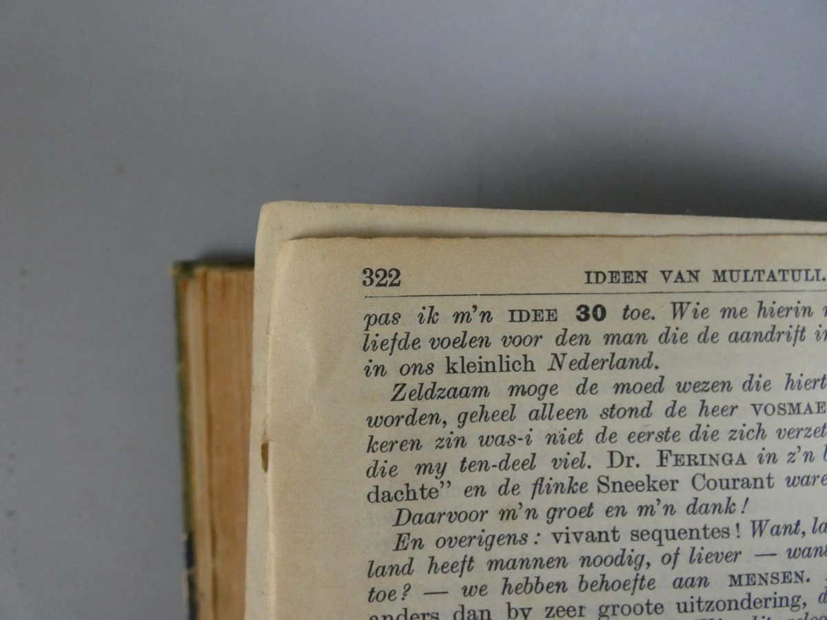 Multatuli - Max Havelaar (De Elsevier-Editie, 1907) - foto 10
