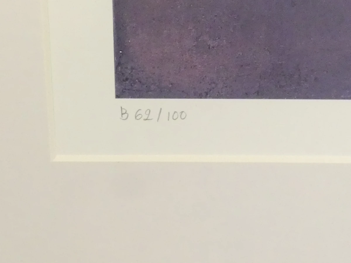 Diptiek van twee gesigneerde zeefdrukken door André Navez (België, 1955) – "Source" & "ARC" - foto 4