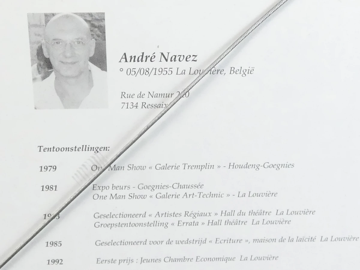 Diptiek van twee gesigneerde zeefdrukken door André Navez (België, 1955) – "Source" & "ARC" - foto 10