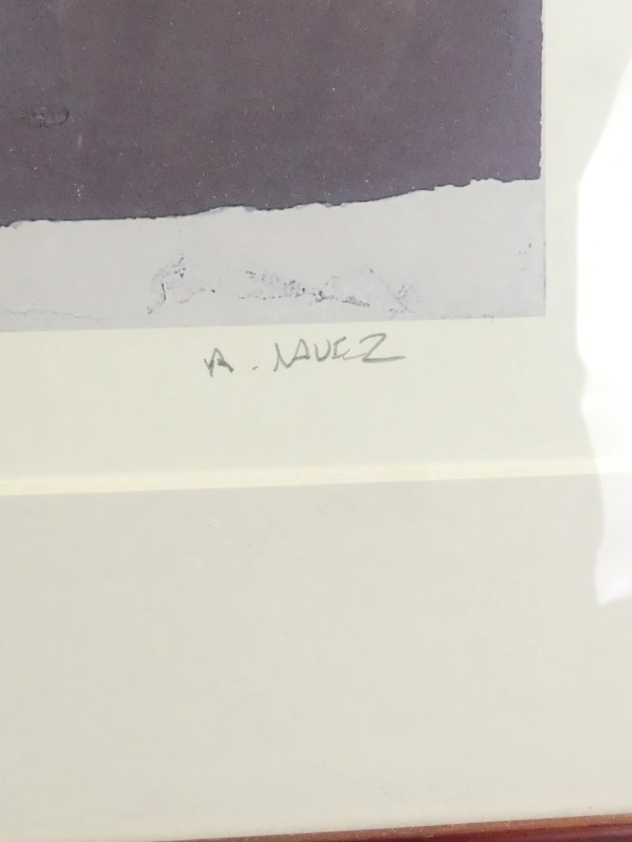 Diptiek van twee gesigneerde zeefdrukken door André Navez (België, 1955) – "Source" & "ARC" - foto 15
