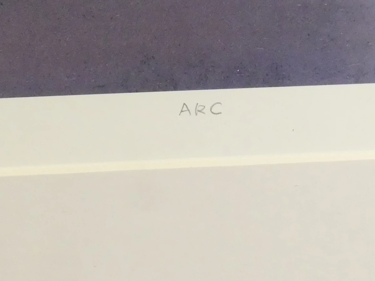 Diptiek van twee gesigneerde zeefdrukken door André Navez (België, 1955) – "Source" & "ARC" - foto 5