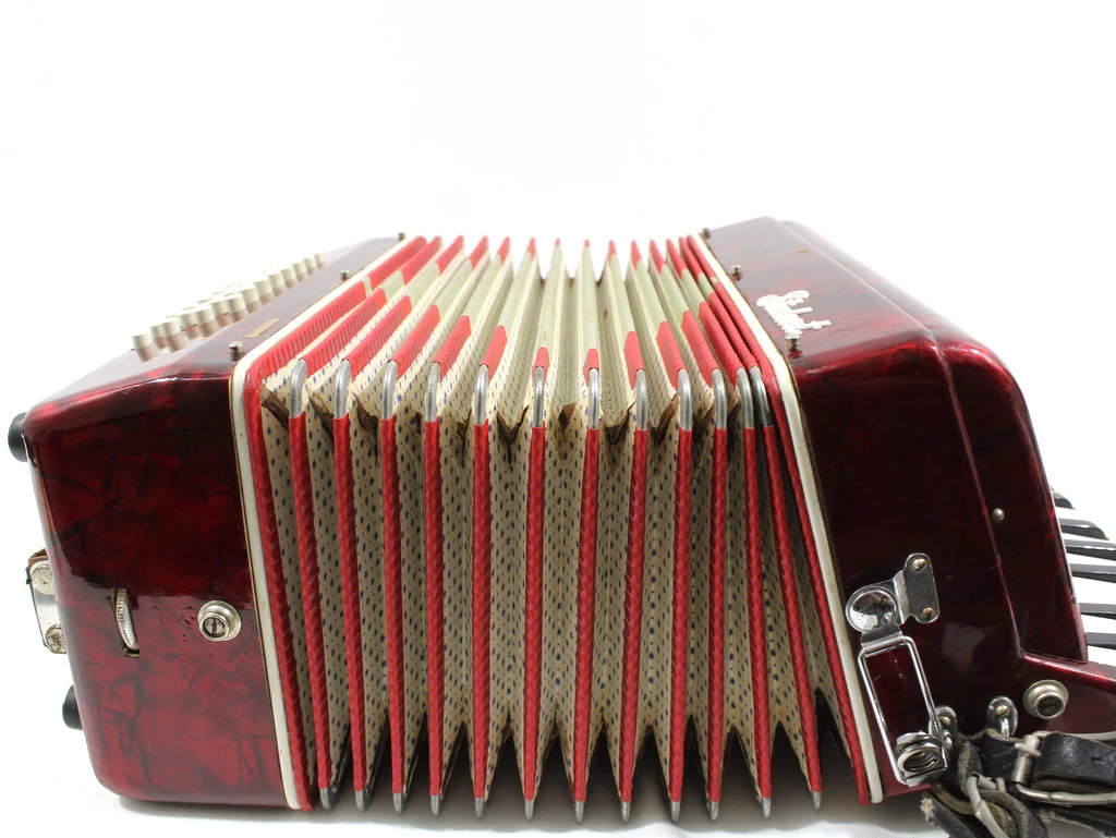 Bontempi Student Accordeon - foto 8