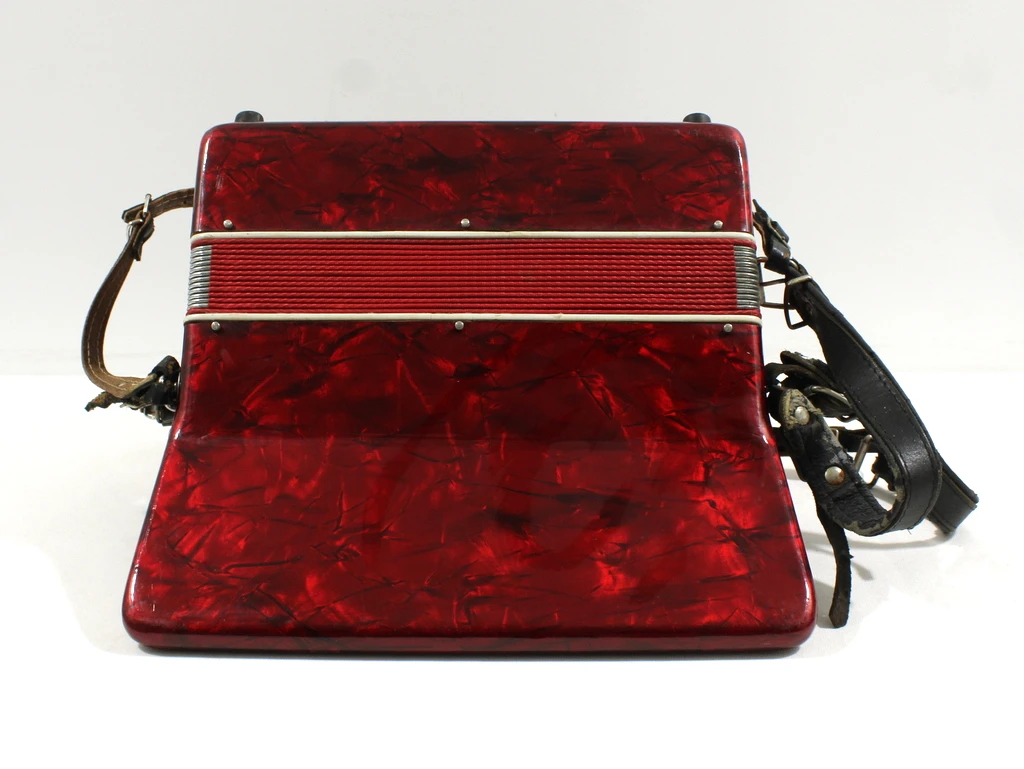 Bontempi Student Accordeon - foto 5