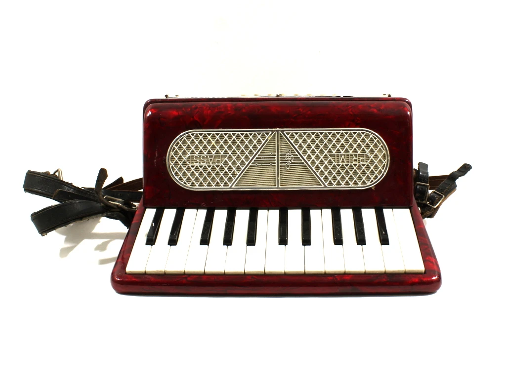 Bontempi Student Accordeon - foto 3