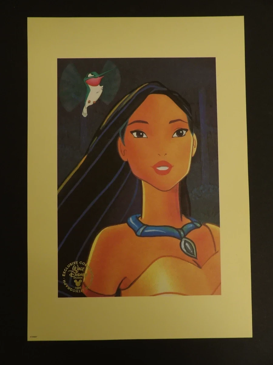 Disney Pocahontas Exclusive Commemorative Lithograph set (1996) - foto 6