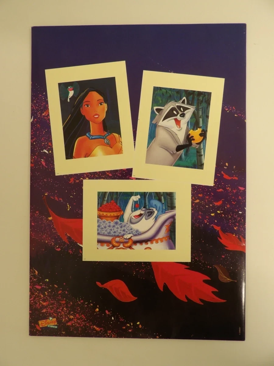 Disney Pocahontas Exclusive Commemorative Lithograph set (1996) - foto 11