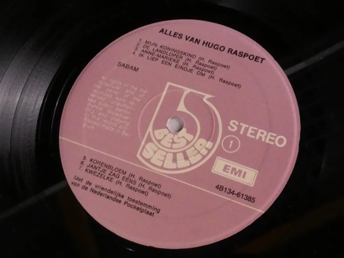 Vinyl dubbelalbum Alles van Hugo Raspoet - foto 5