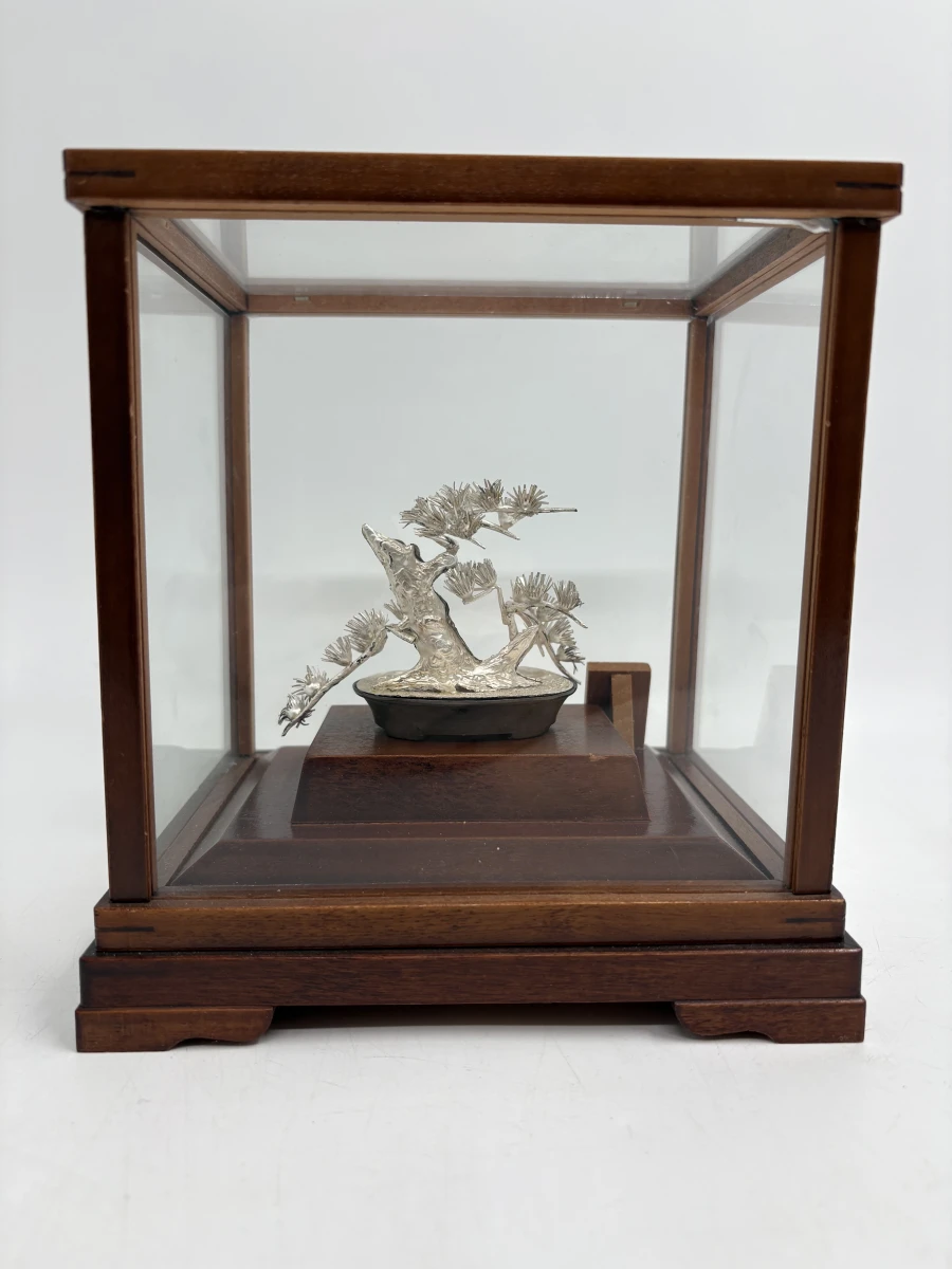 Massief zilveren Bonsai-miniatuur 'Matsu' in vitrine – Seki Takehiko - foto 4
