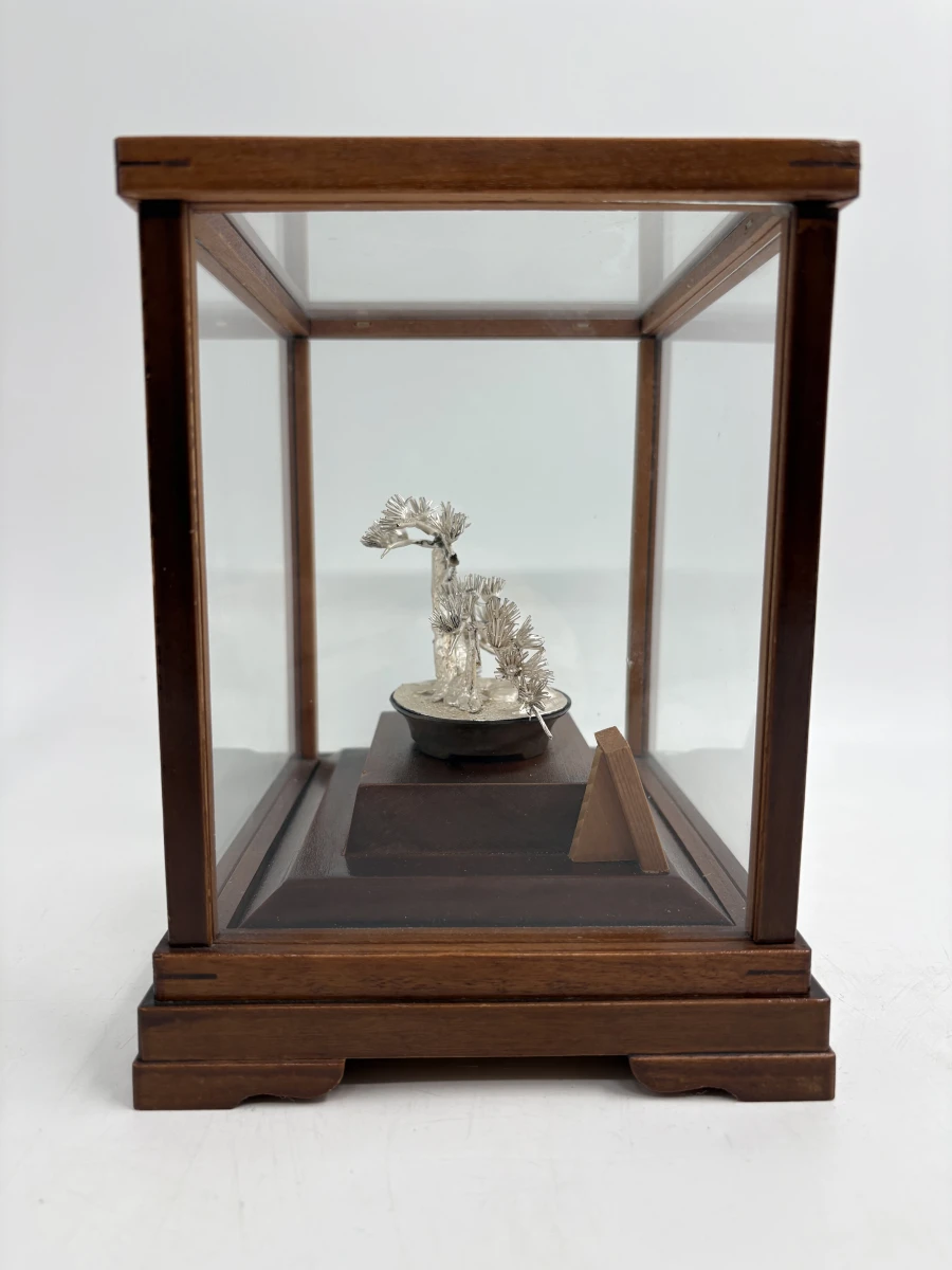 Massief zilveren Bonsai-miniatuur 'Matsu' in vitrine – Seki Takehiko - foto 5