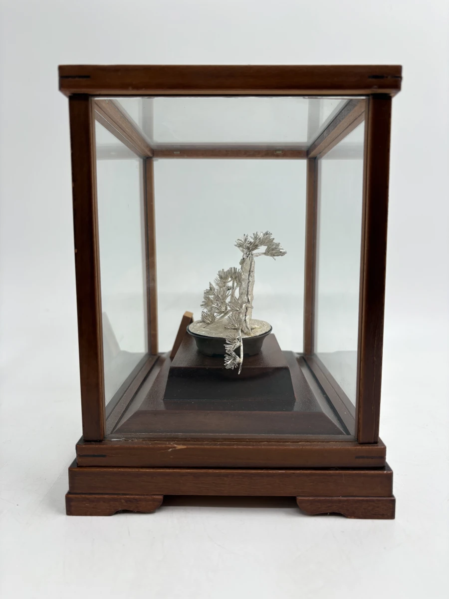 Massief zilveren Bonsai-miniatuur 'Matsu' in vitrine – Seki Takehiko - foto 3