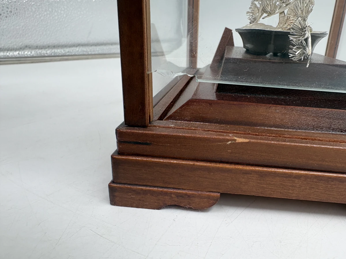Massief zilveren Bonsai-miniatuur 'Matsu' in vitrine – Seki Takehiko - foto 8
