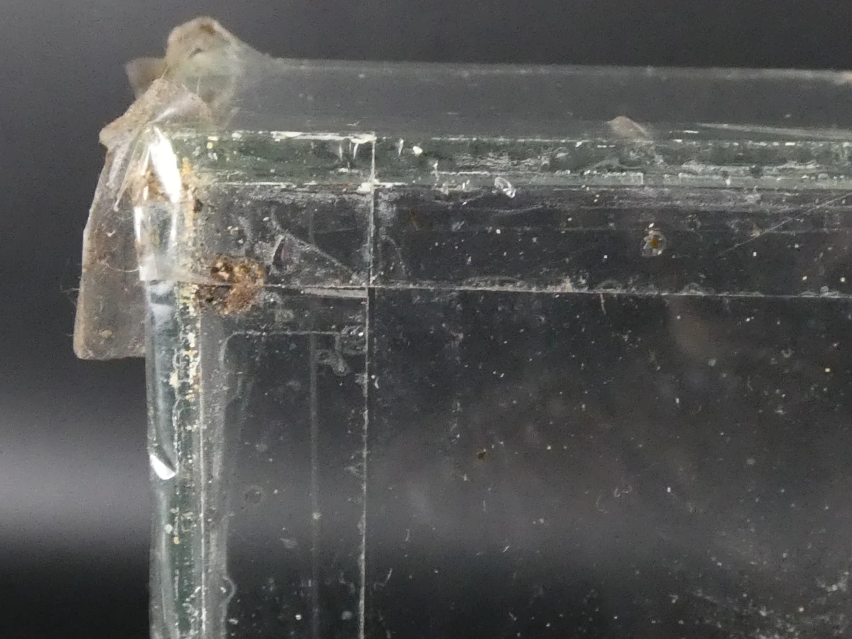 Unieke Verzameling Taxidermie & Entomologie – Vlinders, Schorpioen en Vleermuis in hars en glas - foto 9