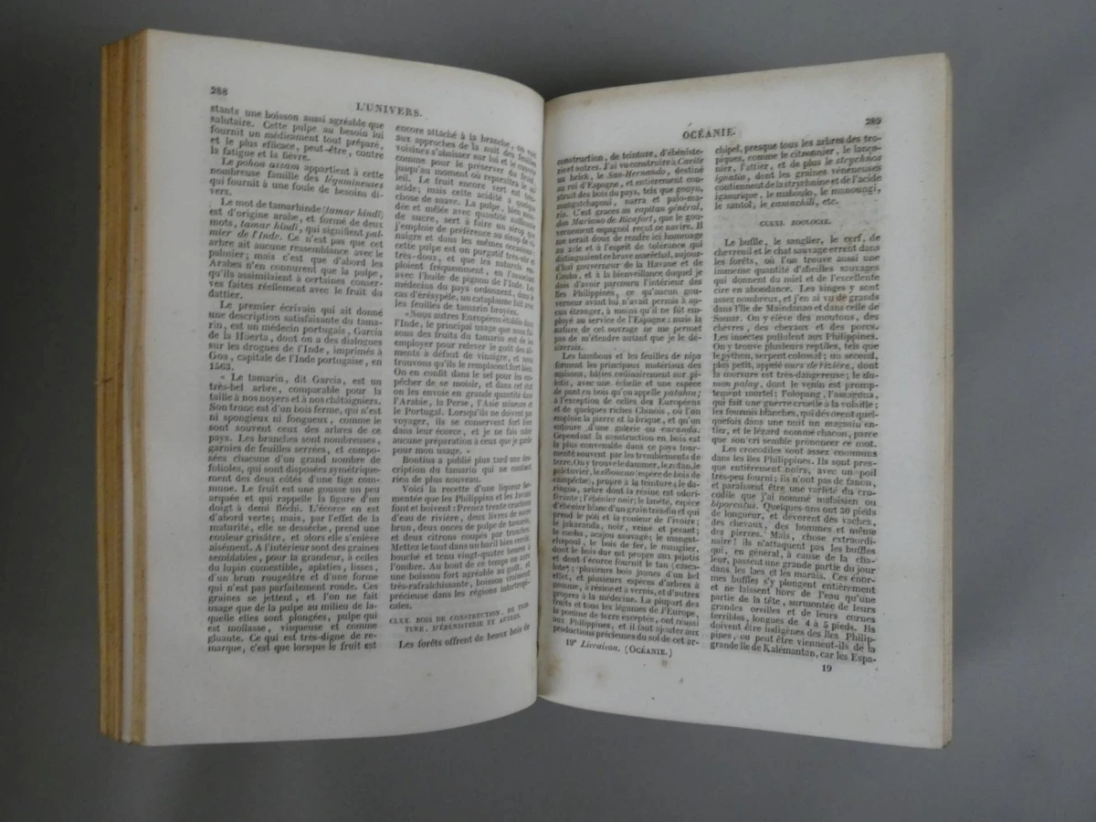 L'Univers Pittoresque: Océanie - M. G. L. Domeny de Rienzi (1836) - foto 7
