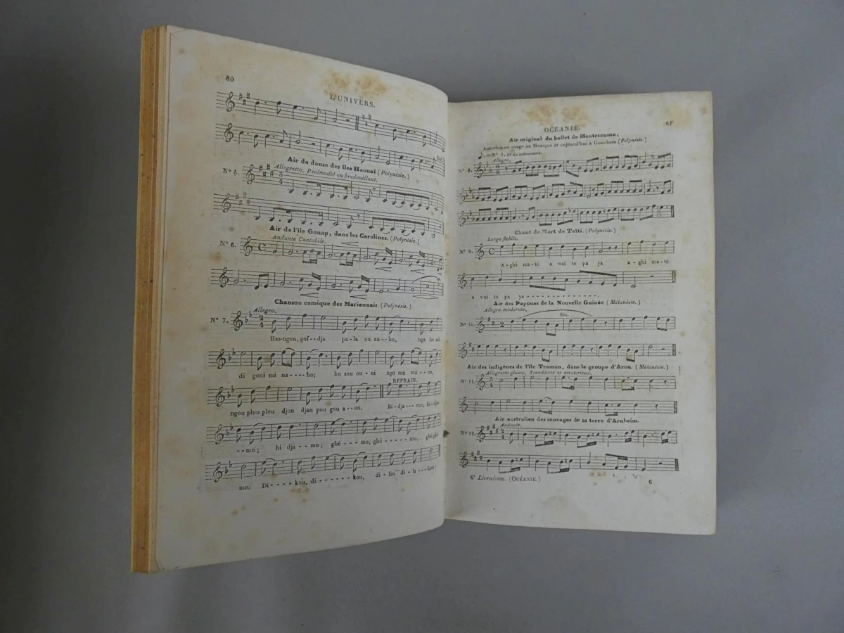 L'Univers Pittoresque: Océanie - M. G. L. Domeny de Rienzi (1836) - foto 6