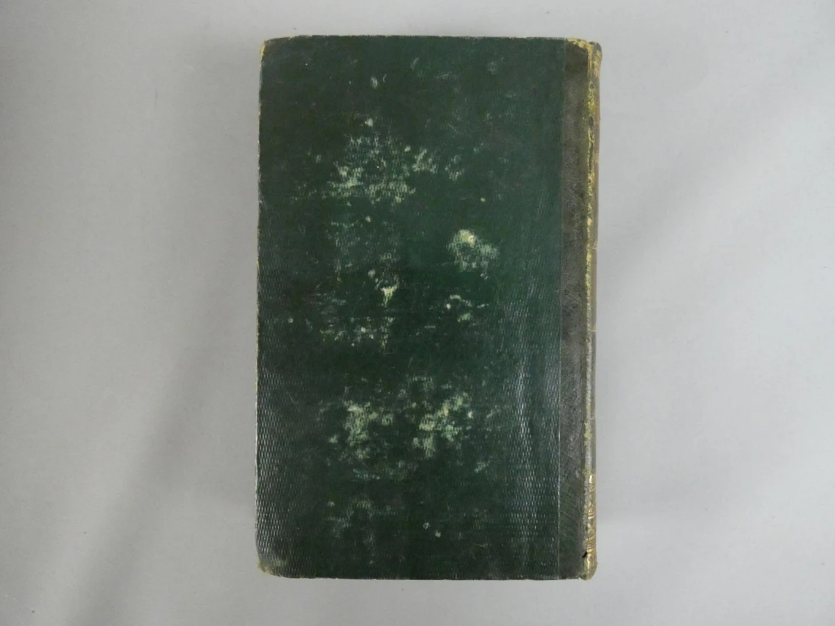 L'Univers Pittoresque: Océanie - M. G. L. Domeny de Rienzi (1836) - foto 12