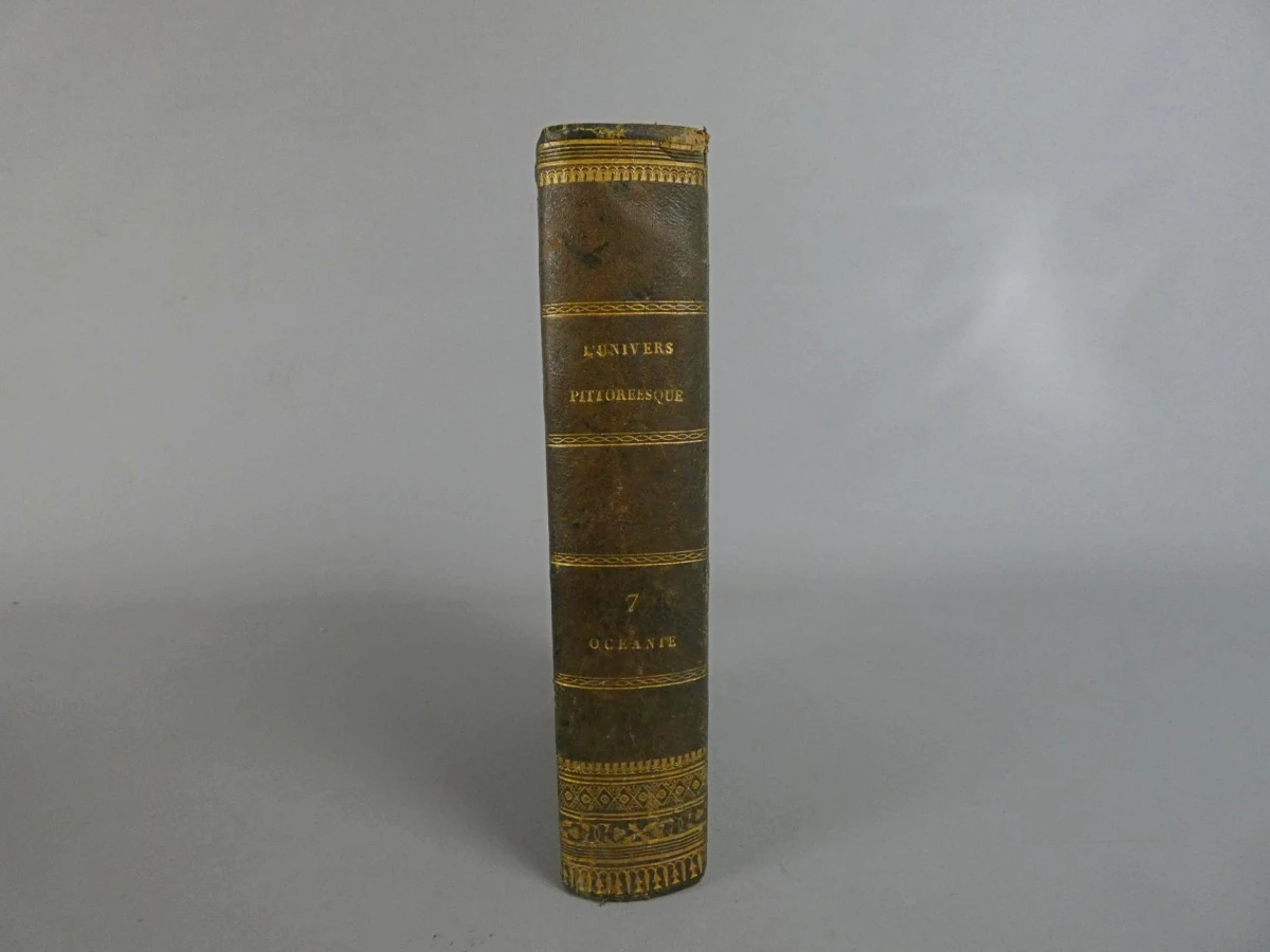 L'Univers Pittoresque: Océanie - M. G. L. Domeny de Rienzi (1836) - foto 13
