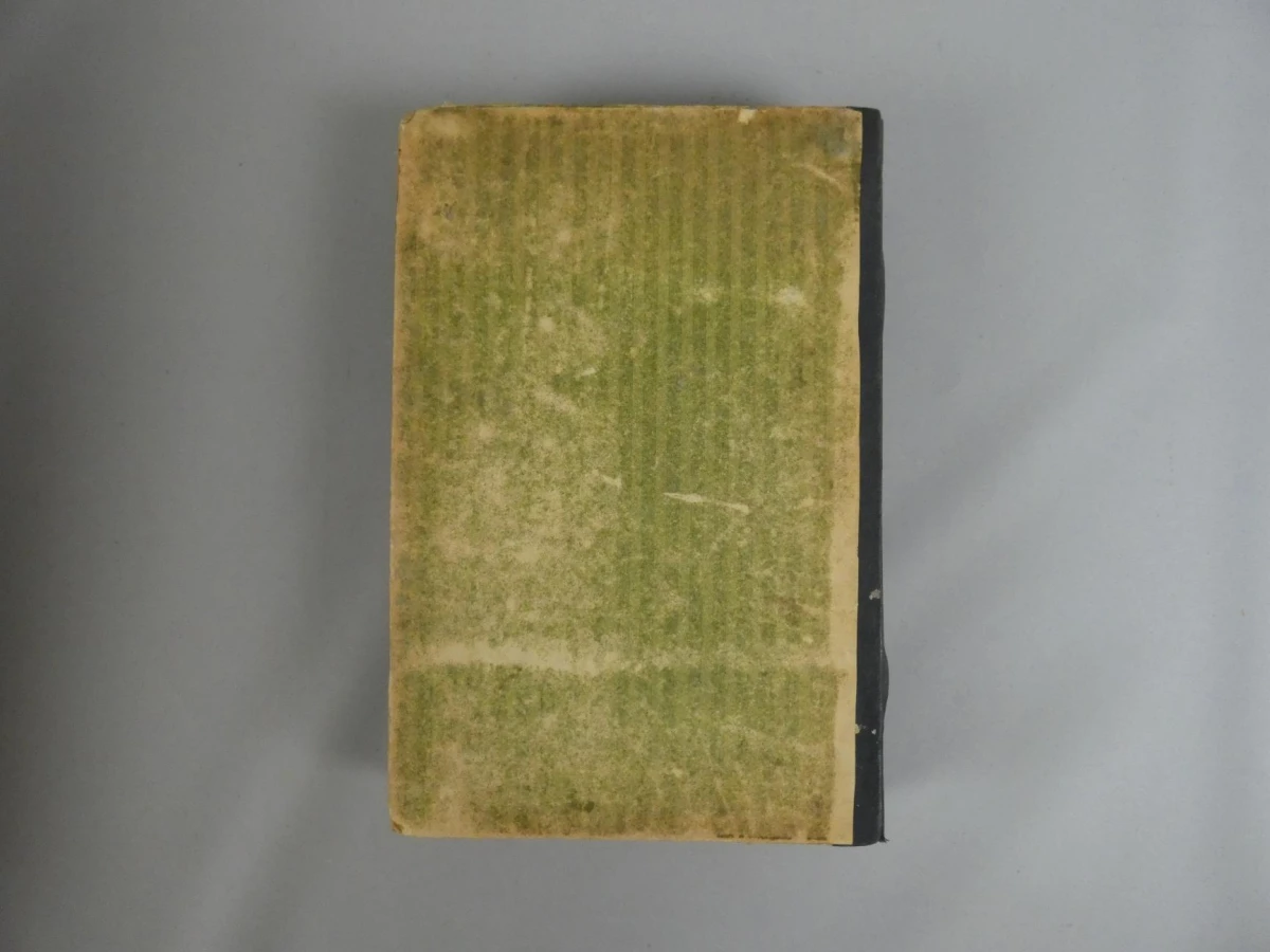 De Doktoor der Krankzinnige Vrouwen - Xavier de Montépin - 1893 - foto 10