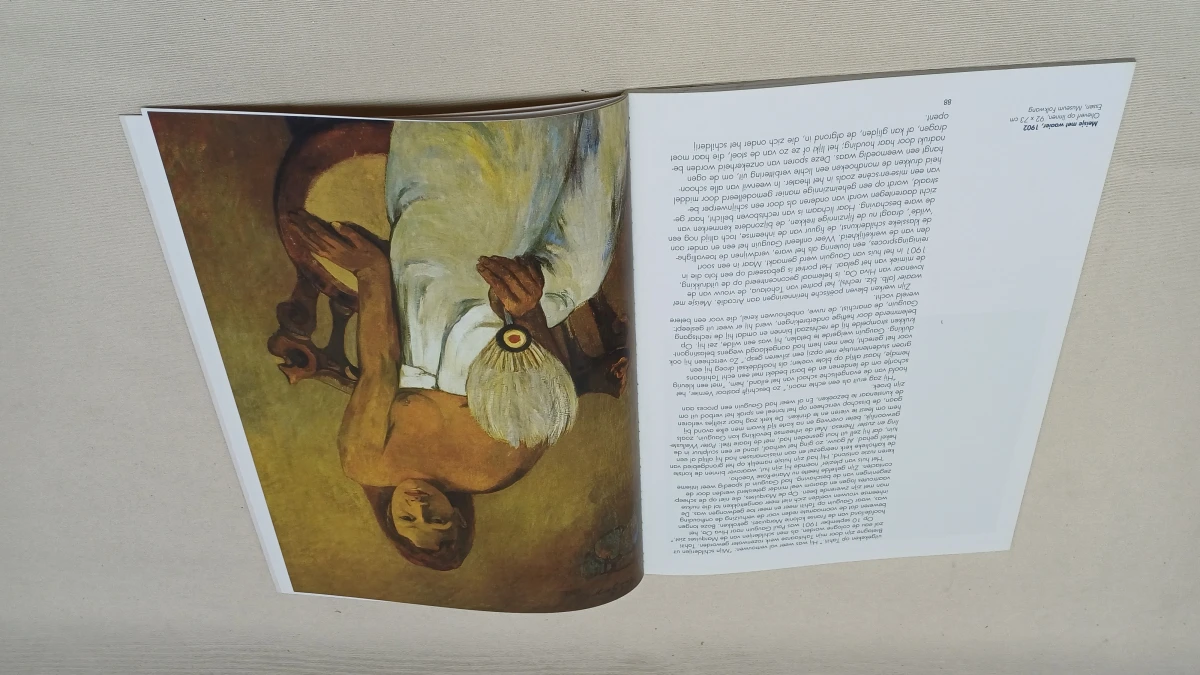 Set van 3 kunstboeken Taschen over Gustav Klimt, Gauguin en Modigliani - foto 9