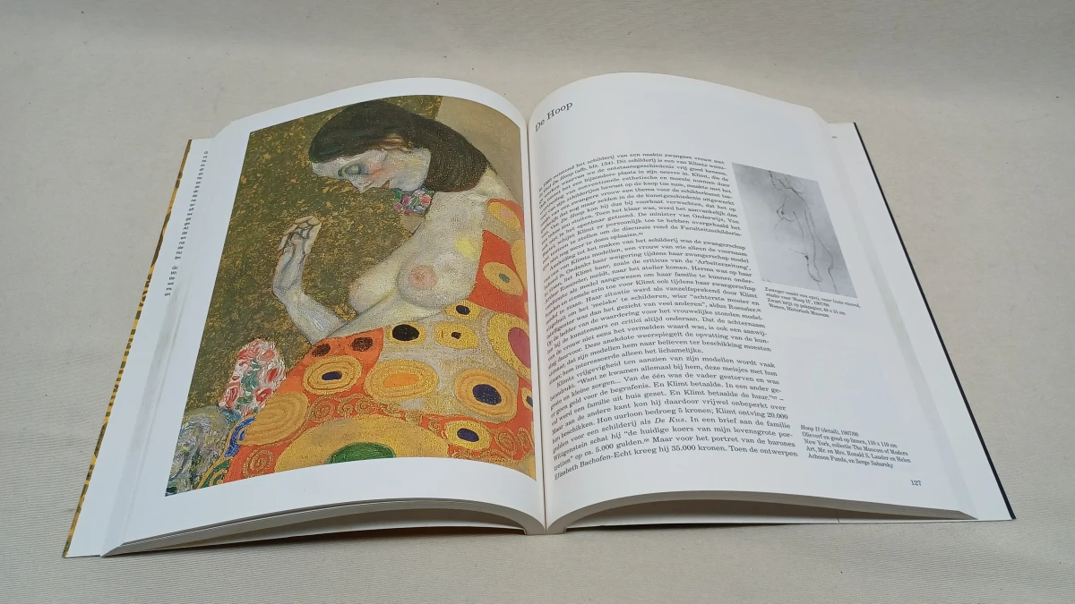 Set van 3 kunstboeken Taschen over Gustav Klimt, Gauguin en Modigliani - foto 3