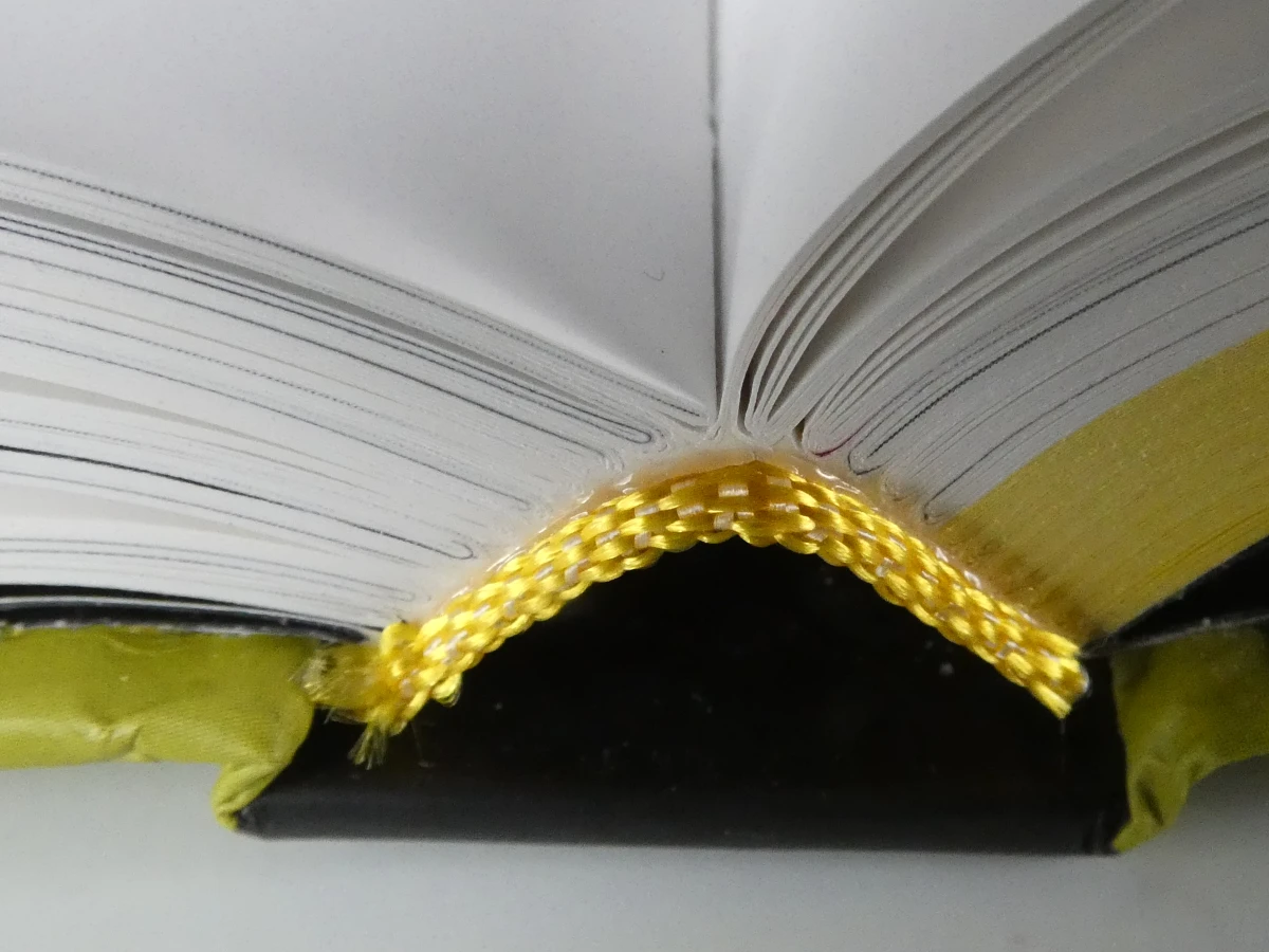Wielermonumenten boek met Flandriens metalen wielrenners set - foto 8