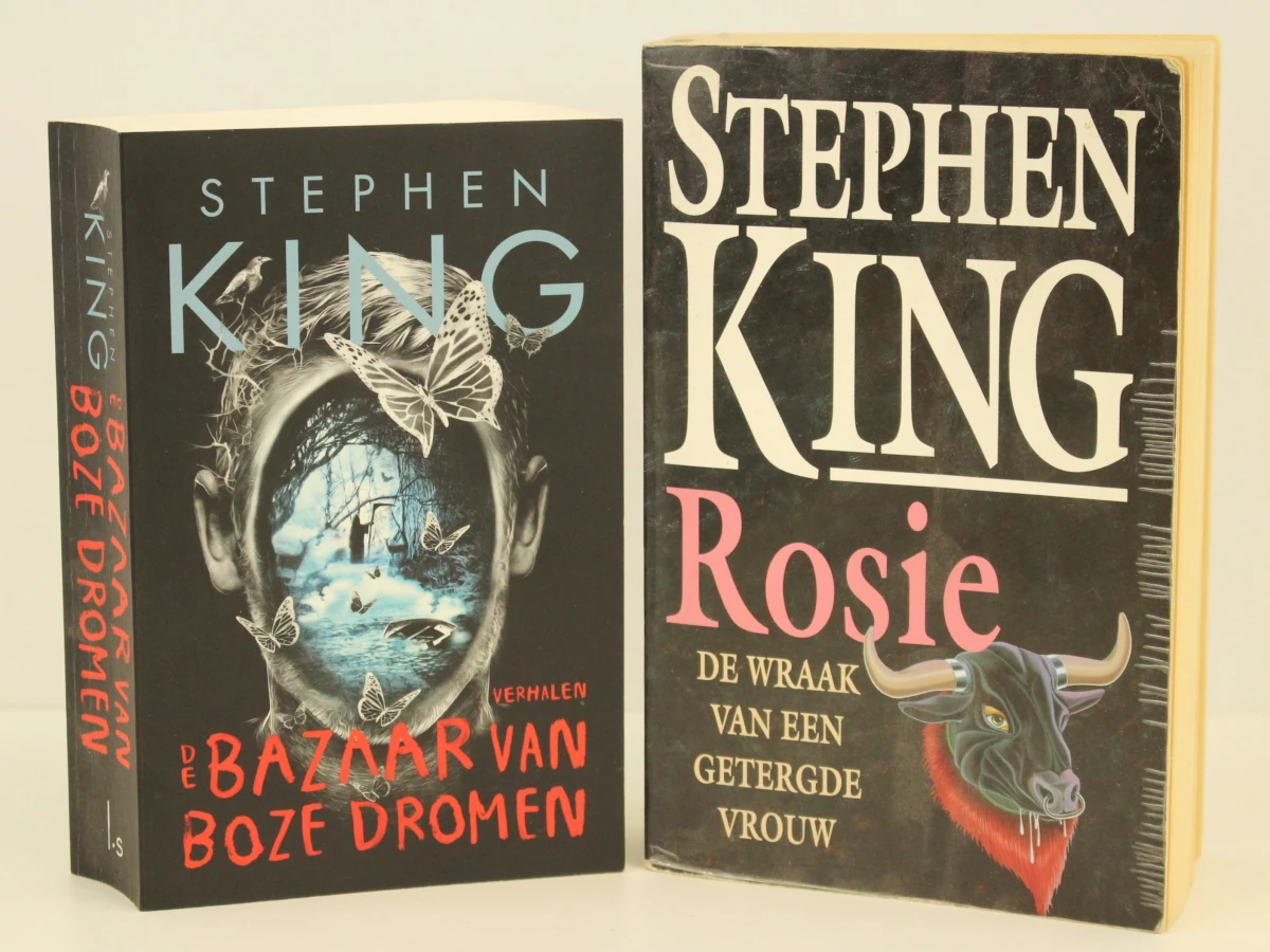 Collectie van 13 Stephen King boeken - foto 3
