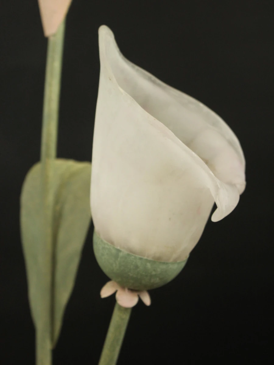 Hollywood Regency Botanische staande lamp met Jugendstil invloeden - foto 10