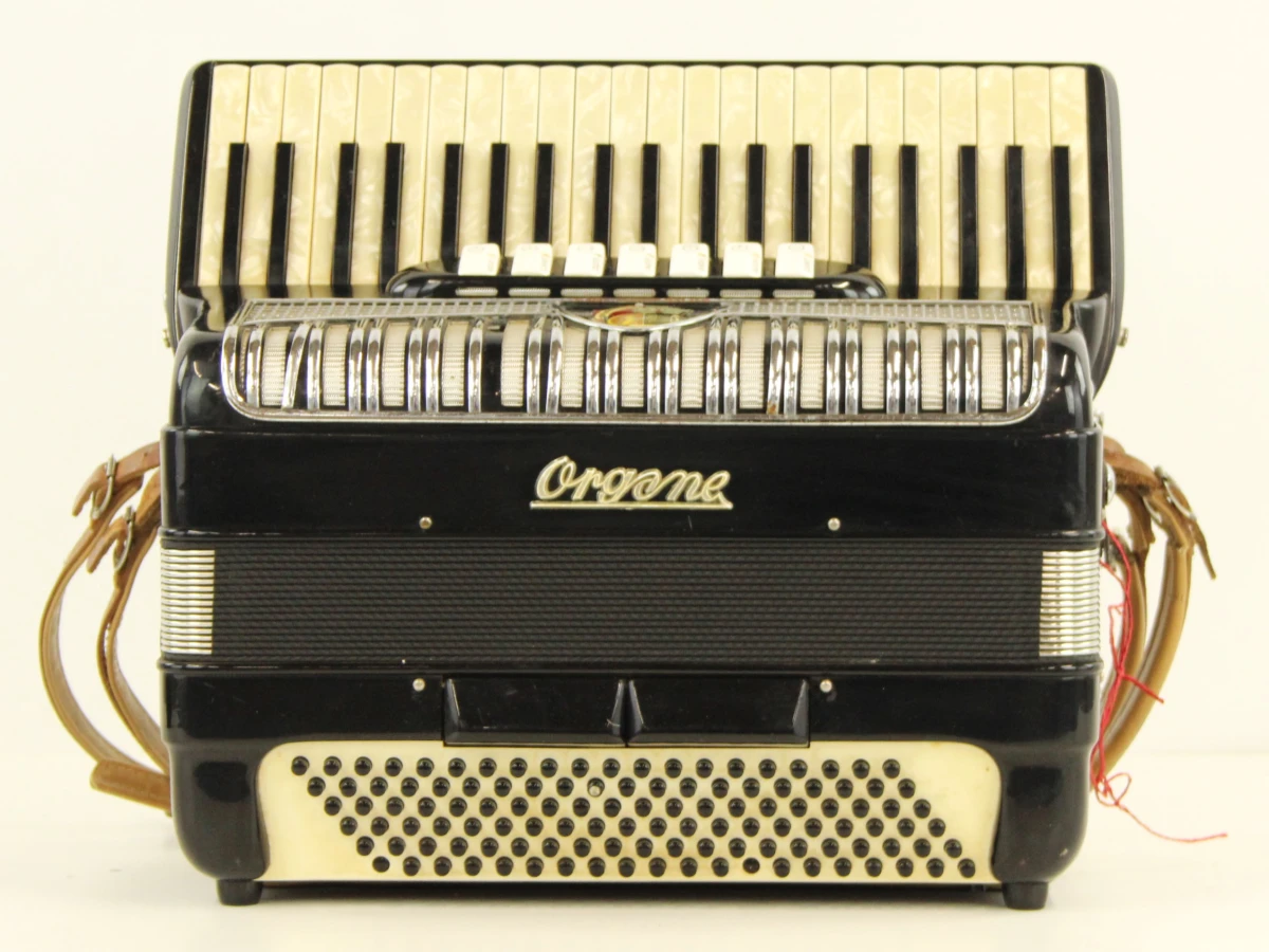 Orgone pianoaccordeon - foto 2