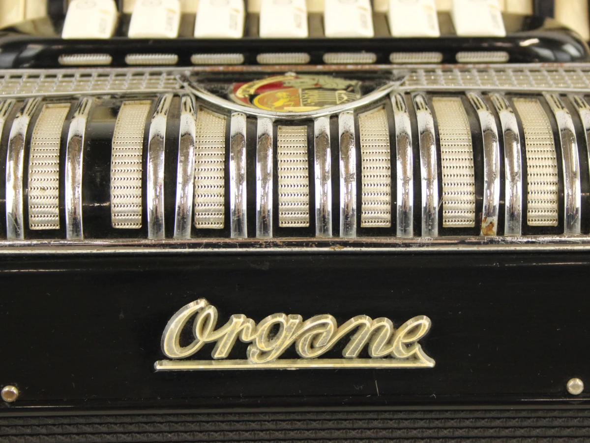 Orgone pianoaccordeon - foto 3