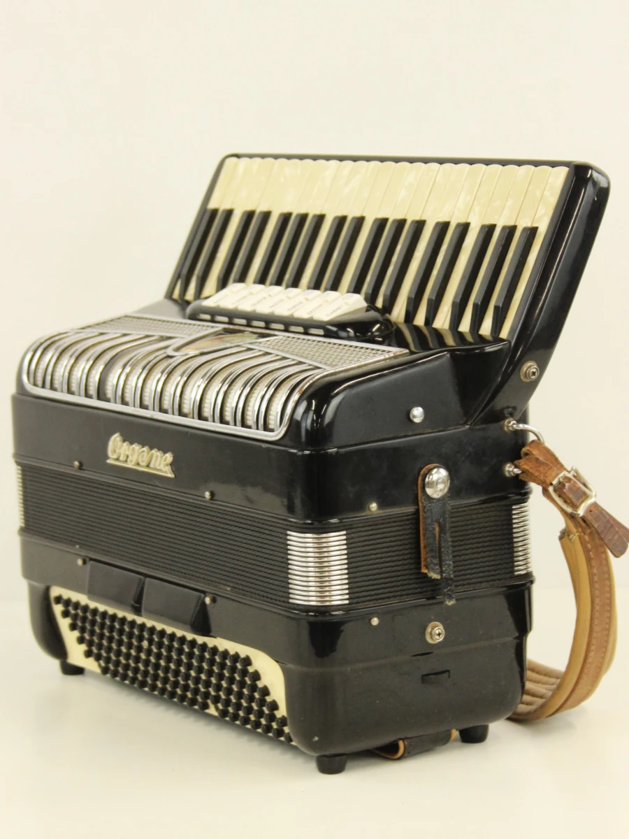Orgone pianoaccordeon - foto 5