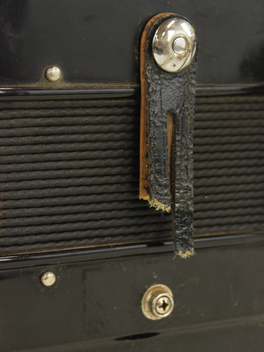 Orgone pianoaccordeon - foto 6