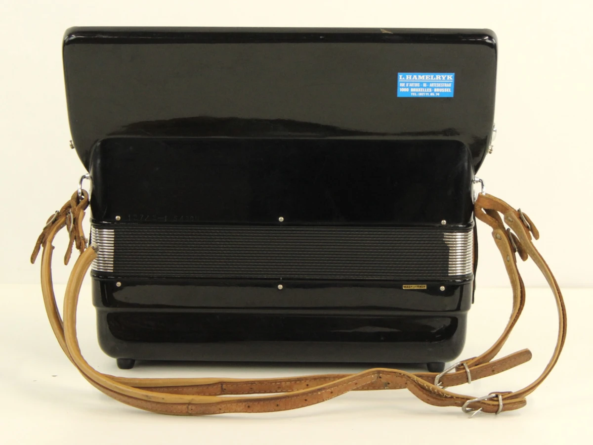 Orgone pianoaccordeon - foto 7