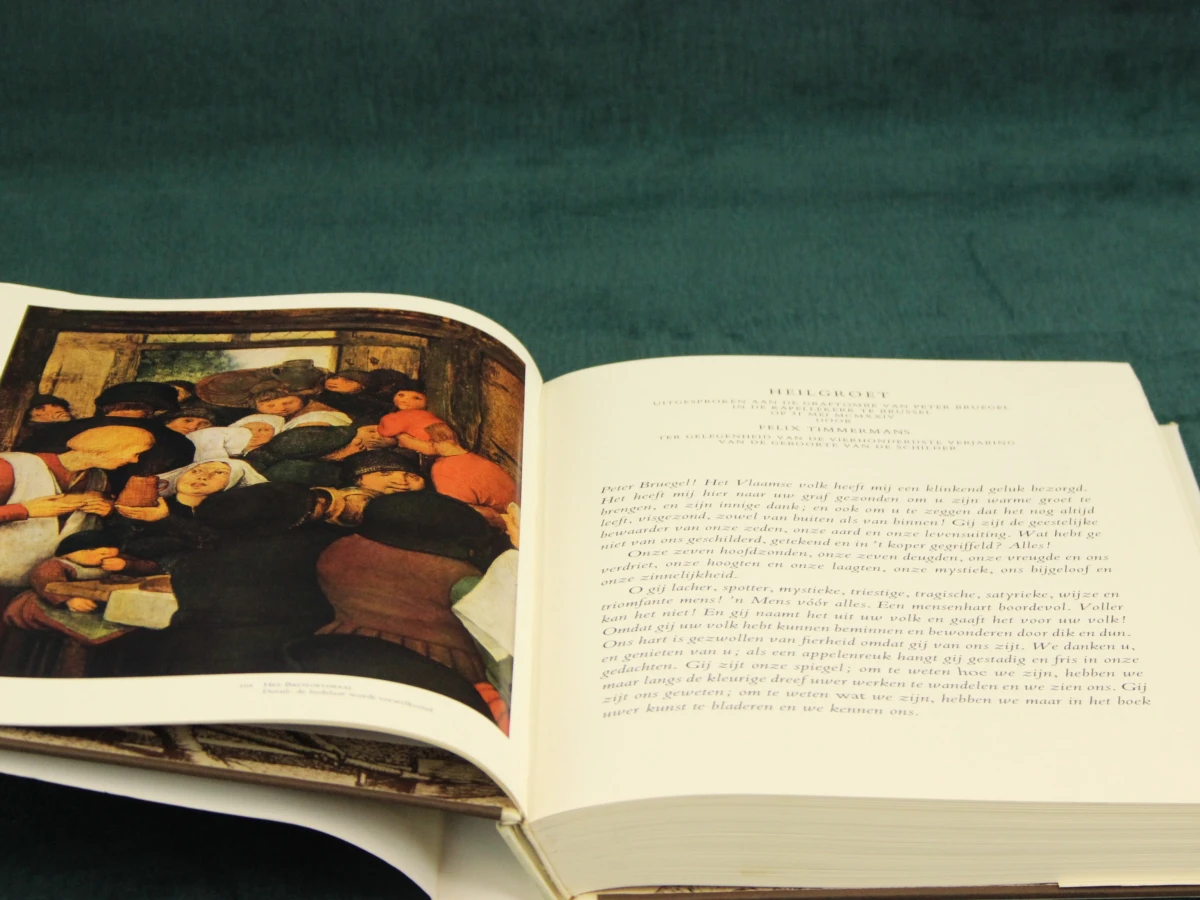Onze Bruegel - Mercatorfonds - foto 3
