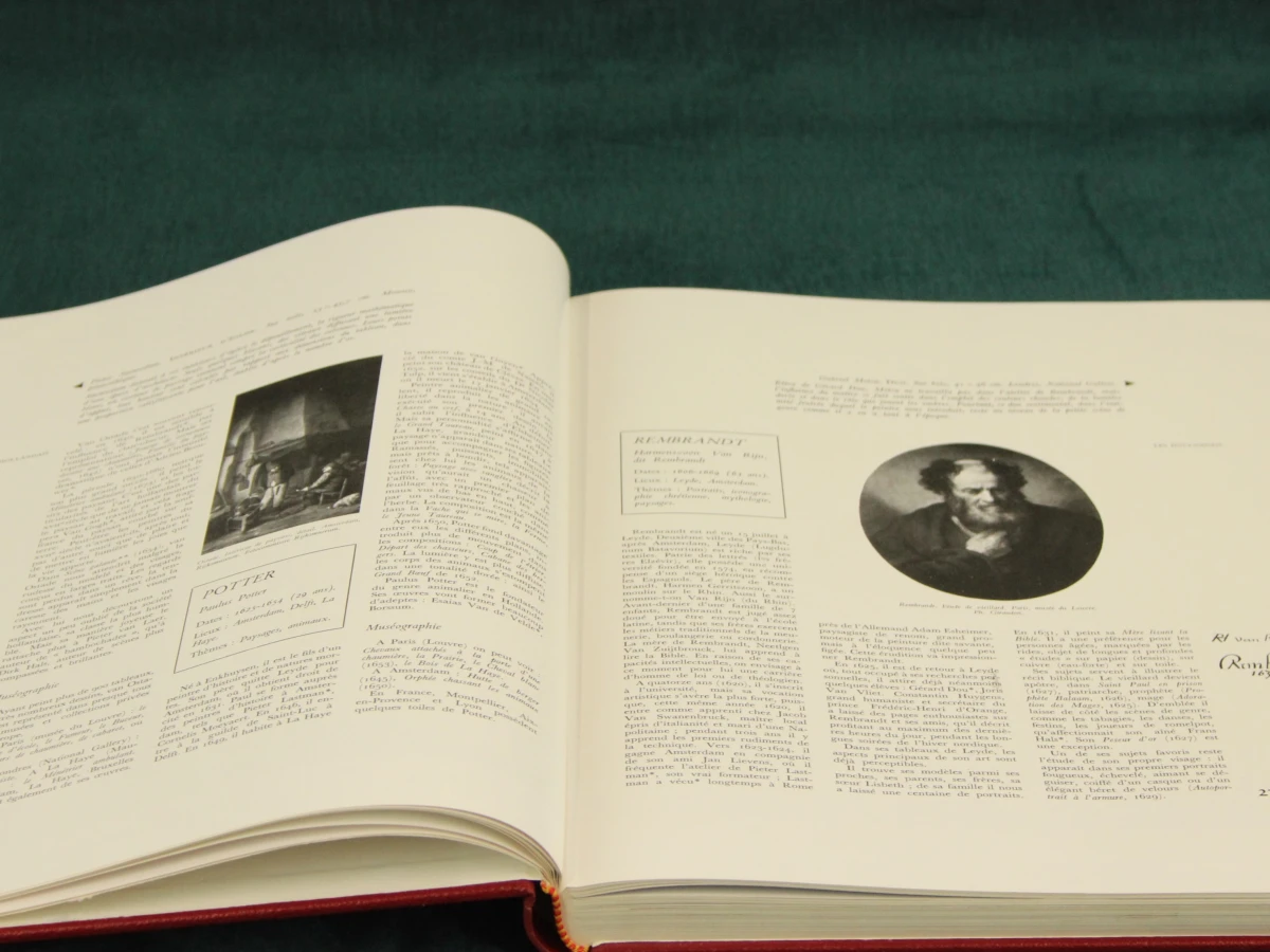 Galerie de la Peinture - 3-delige kunstboeken set - foto 10