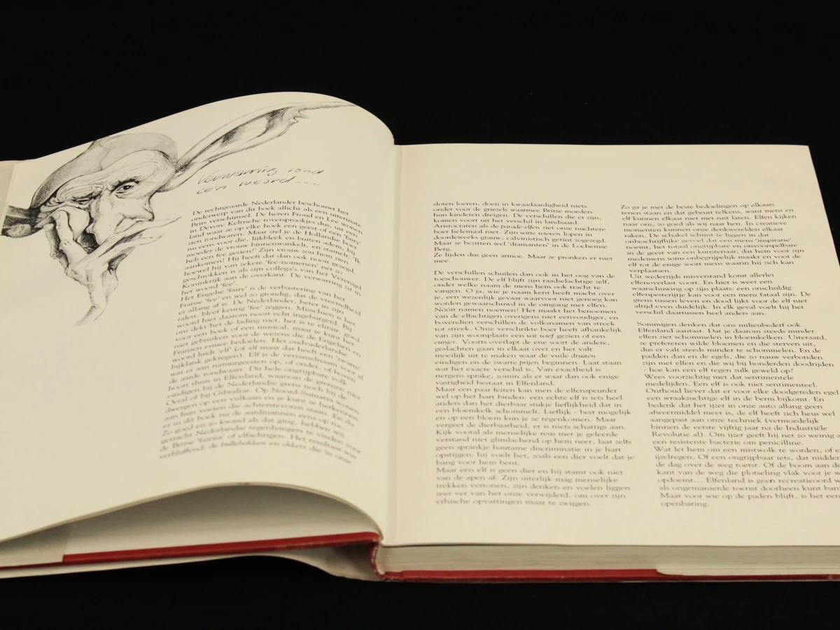 De Elfen  Beschreven en geilustreed door Brian Froud & Alan Lee- Van Holkema & Warendorf - foto 2