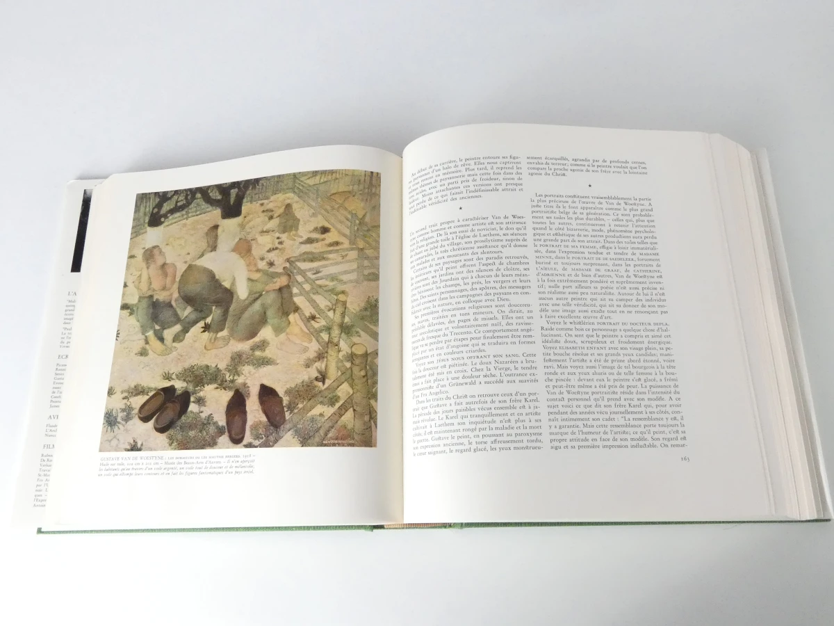 Laethem-Saint-Martin kunstboek met beschermhoes - foto 5