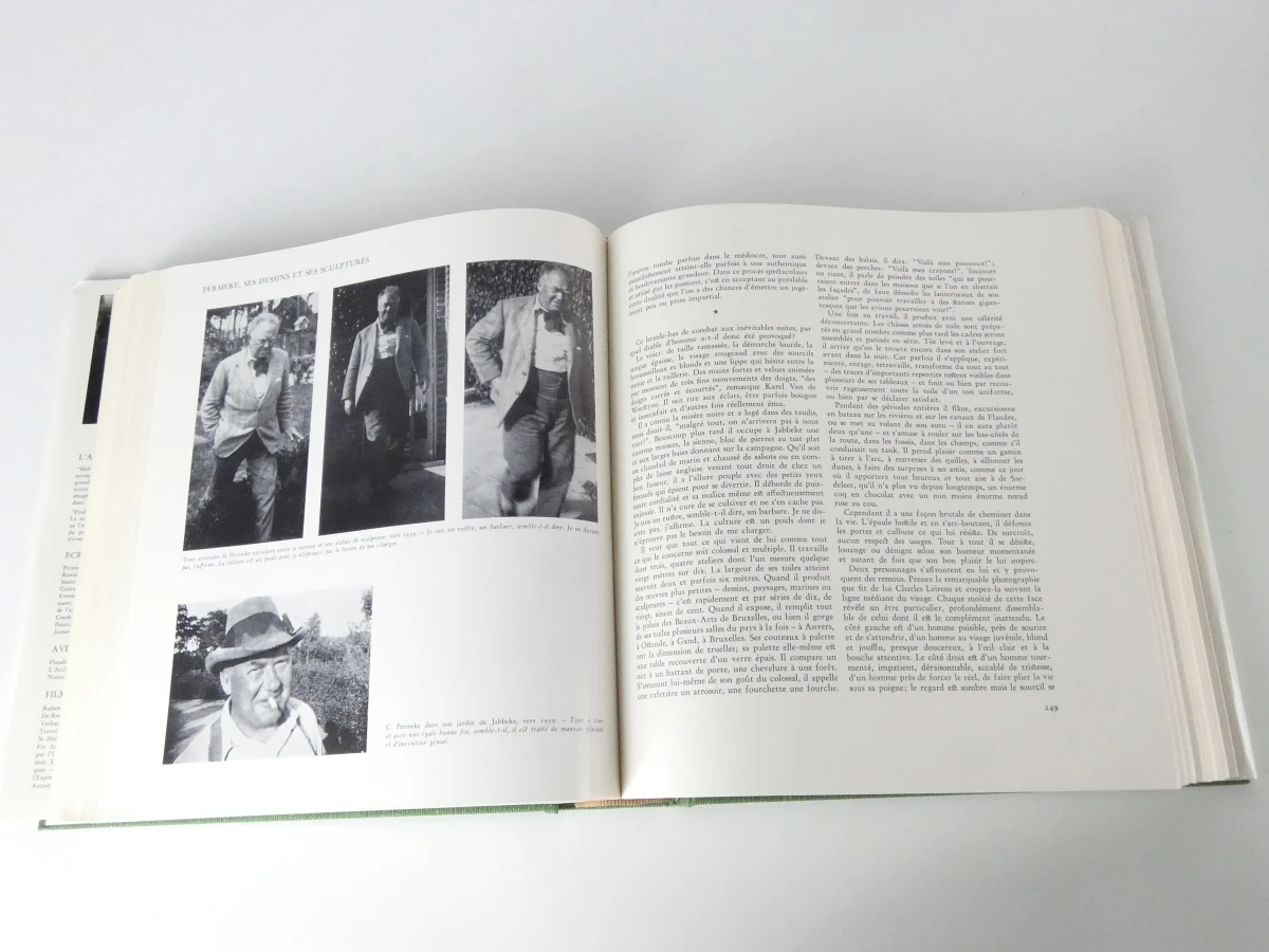 Laethem-Saint-Martin kunstboek met beschermhoes - foto 6