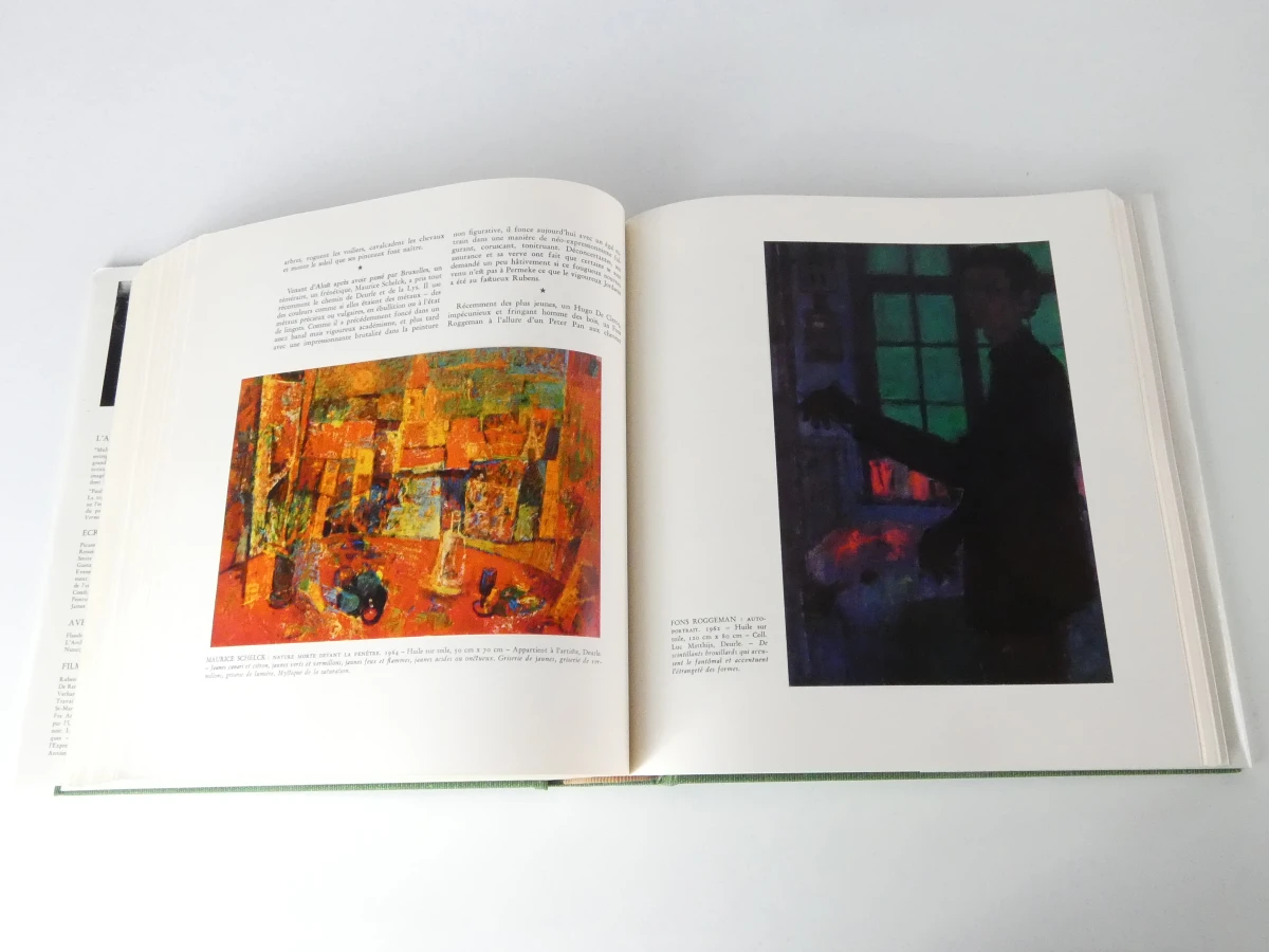 Laethem-Saint-Martin kunstboek met beschermhoes - foto 7