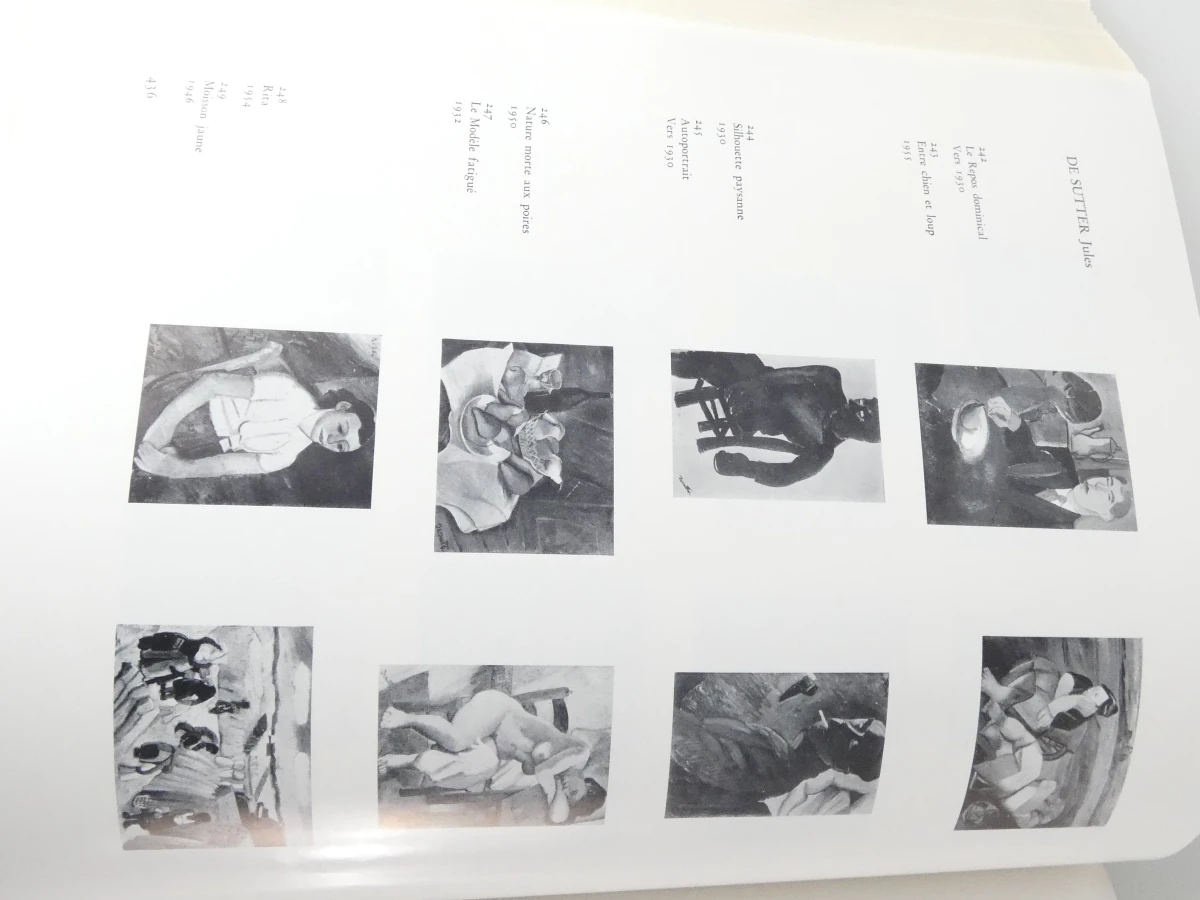 Laethem-Saint-Martin kunstboek met beschermhoes - foto 9