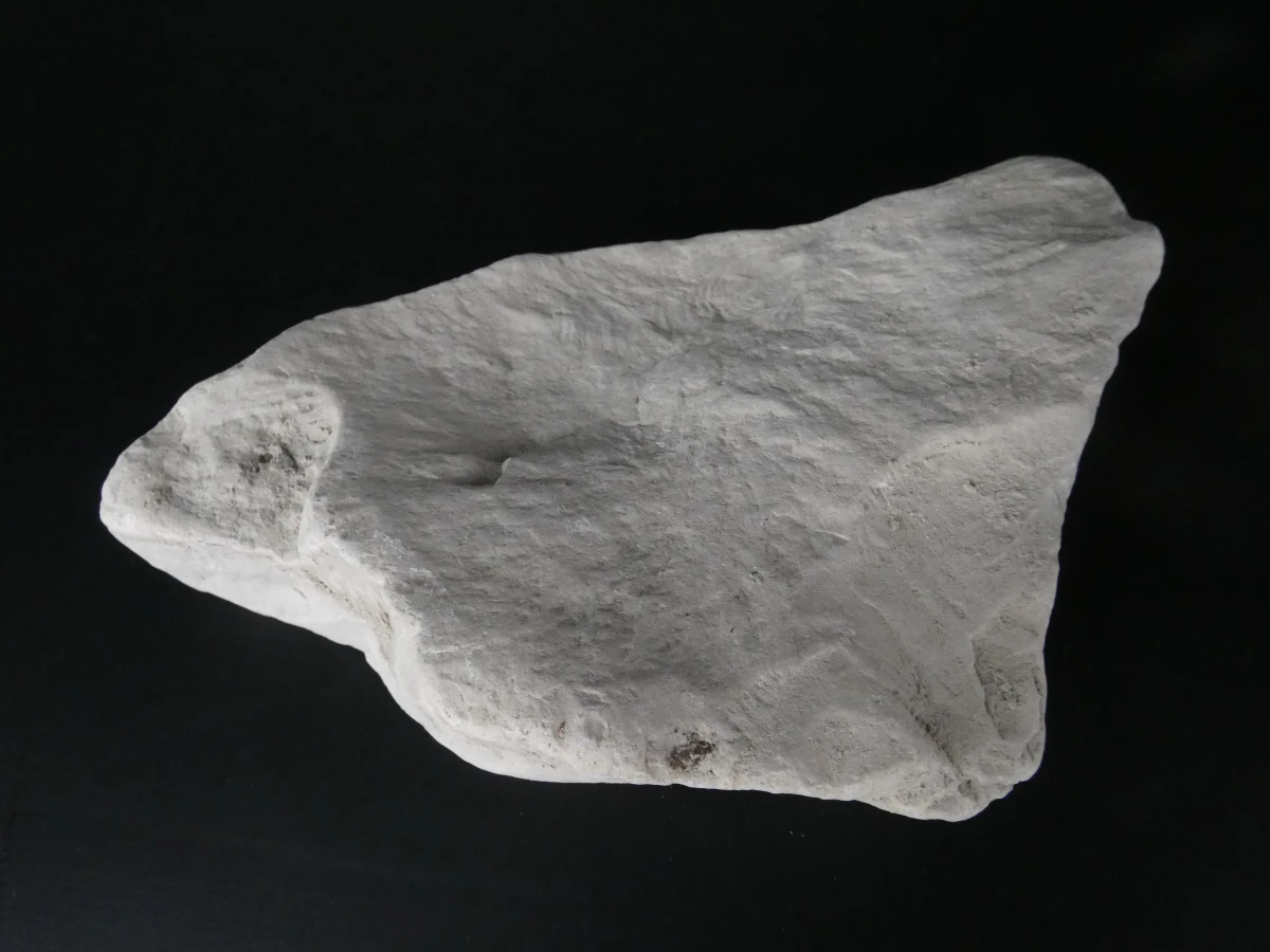 Verzameling van fossielen, mineralen en bijzondere gesteenten - foto 2