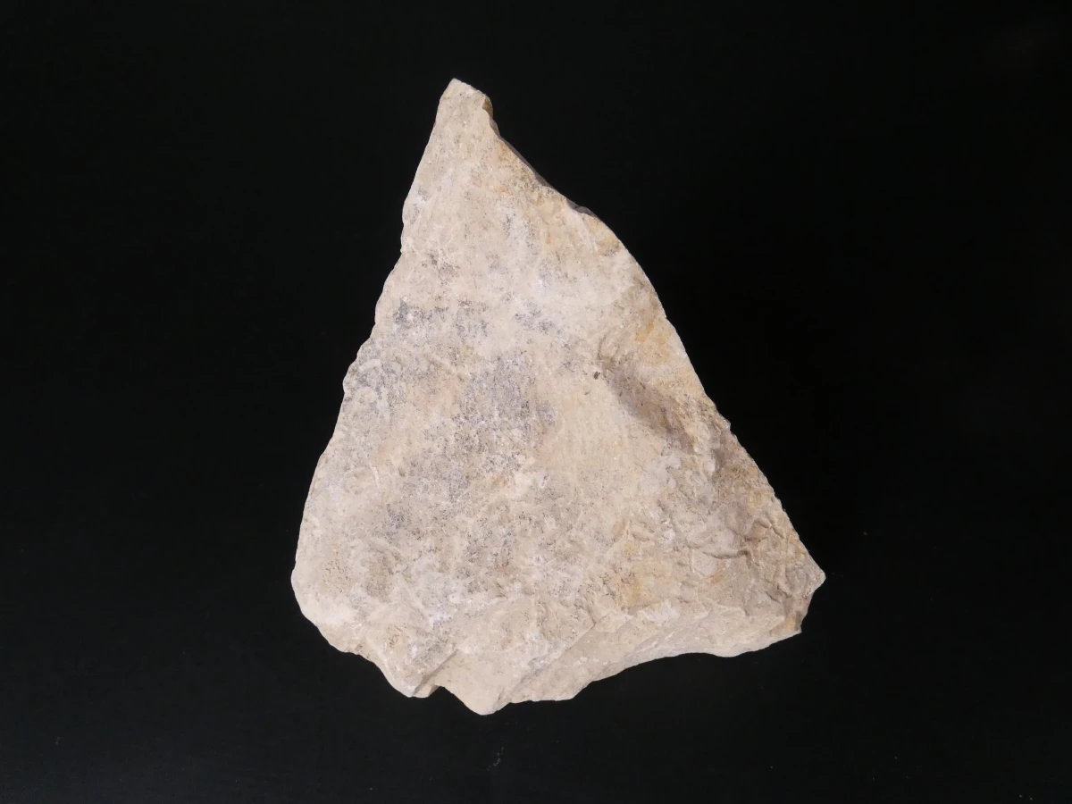 Verzameling van fossielen, mineralen en bijzondere gesteenten - foto 4