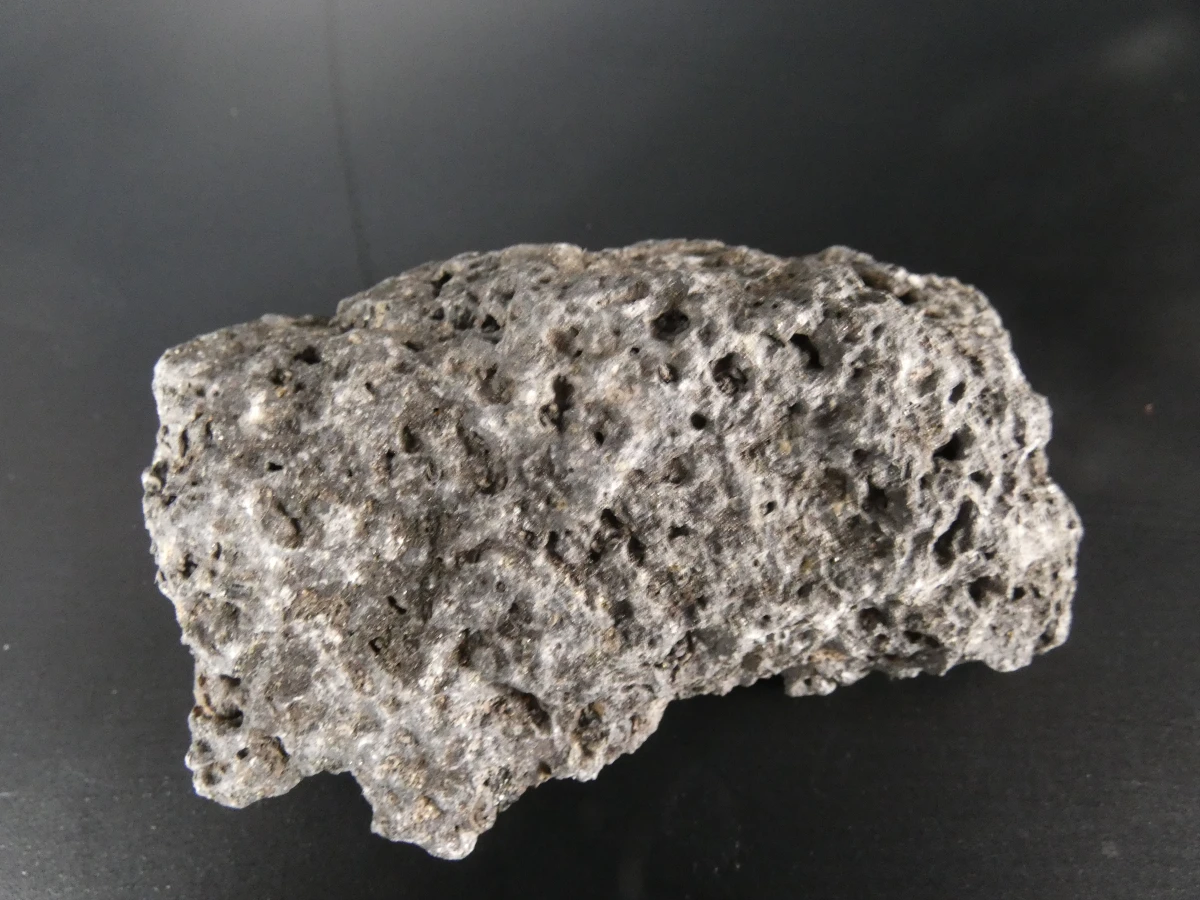 Verzameling van fossielen, mineralen en bijzondere gesteenten - foto 12