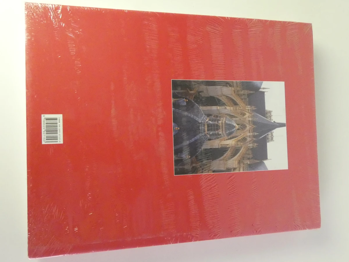 De kathedraal van Sint-Michiel & Sint-Goedele boek - foto 7