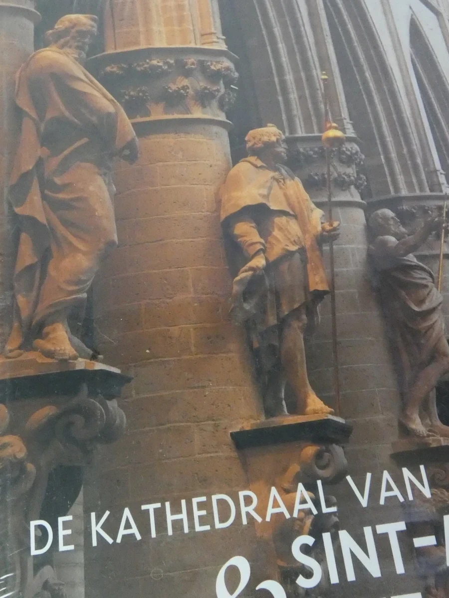 De kathedraal van Sint-Michiel & Sint-Goedele boek - foto 2