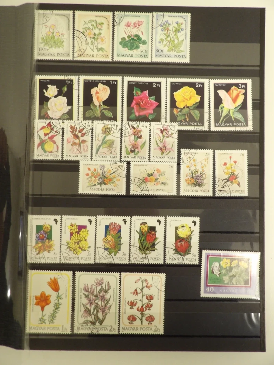 4 wereldwijde postzegelalbums - foto 17