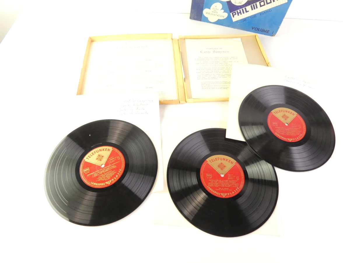 Set van vintage grammofoonplaten met hoes - foto 21