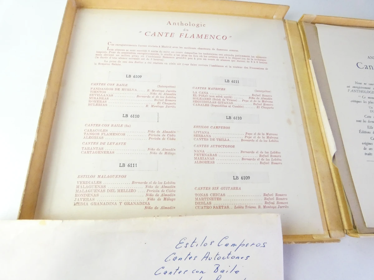 Set van vintage grammofoonplaten met hoes - foto 22