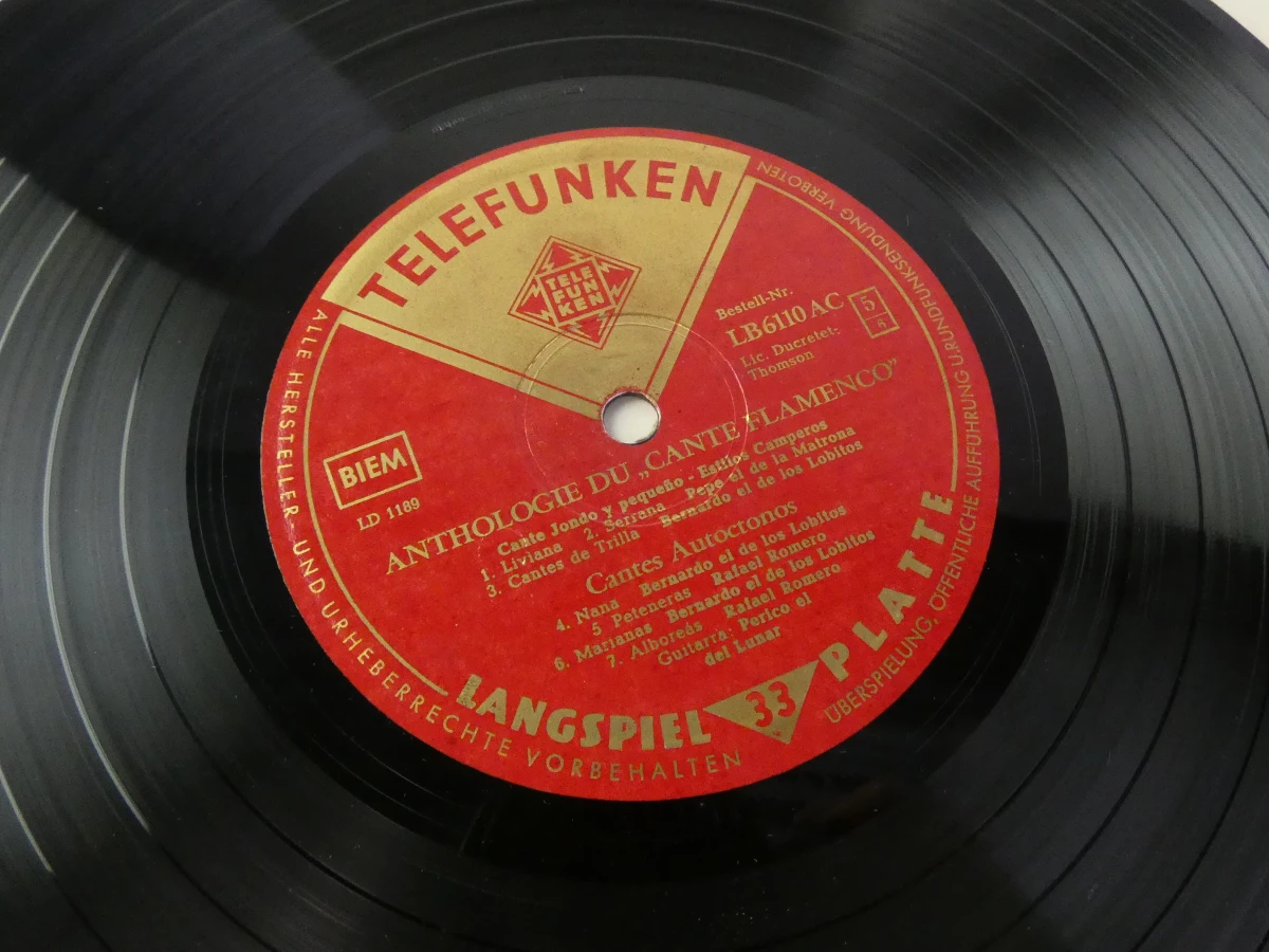 Set van vintage grammofoonplaten met hoes - foto 23