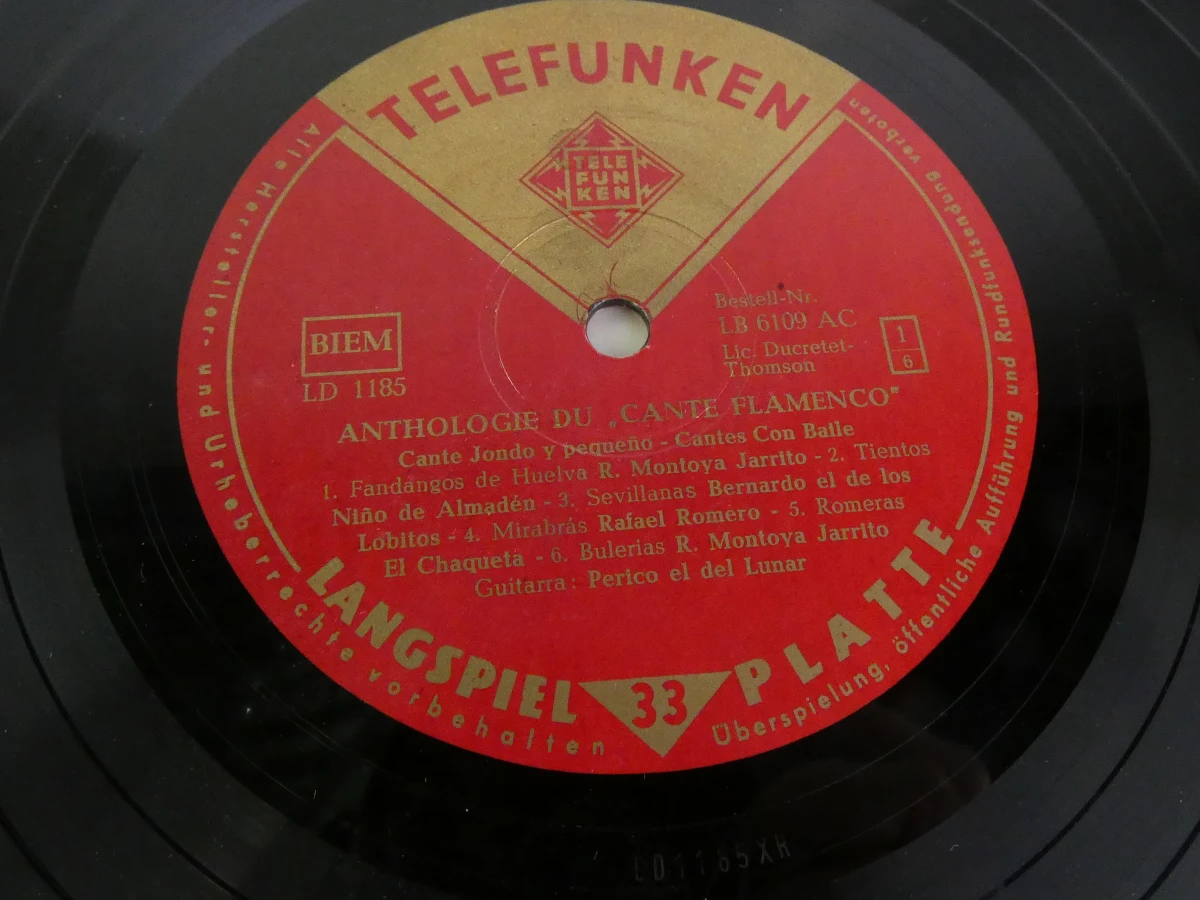 Set van vintage grammofoonplaten met hoes - foto 25