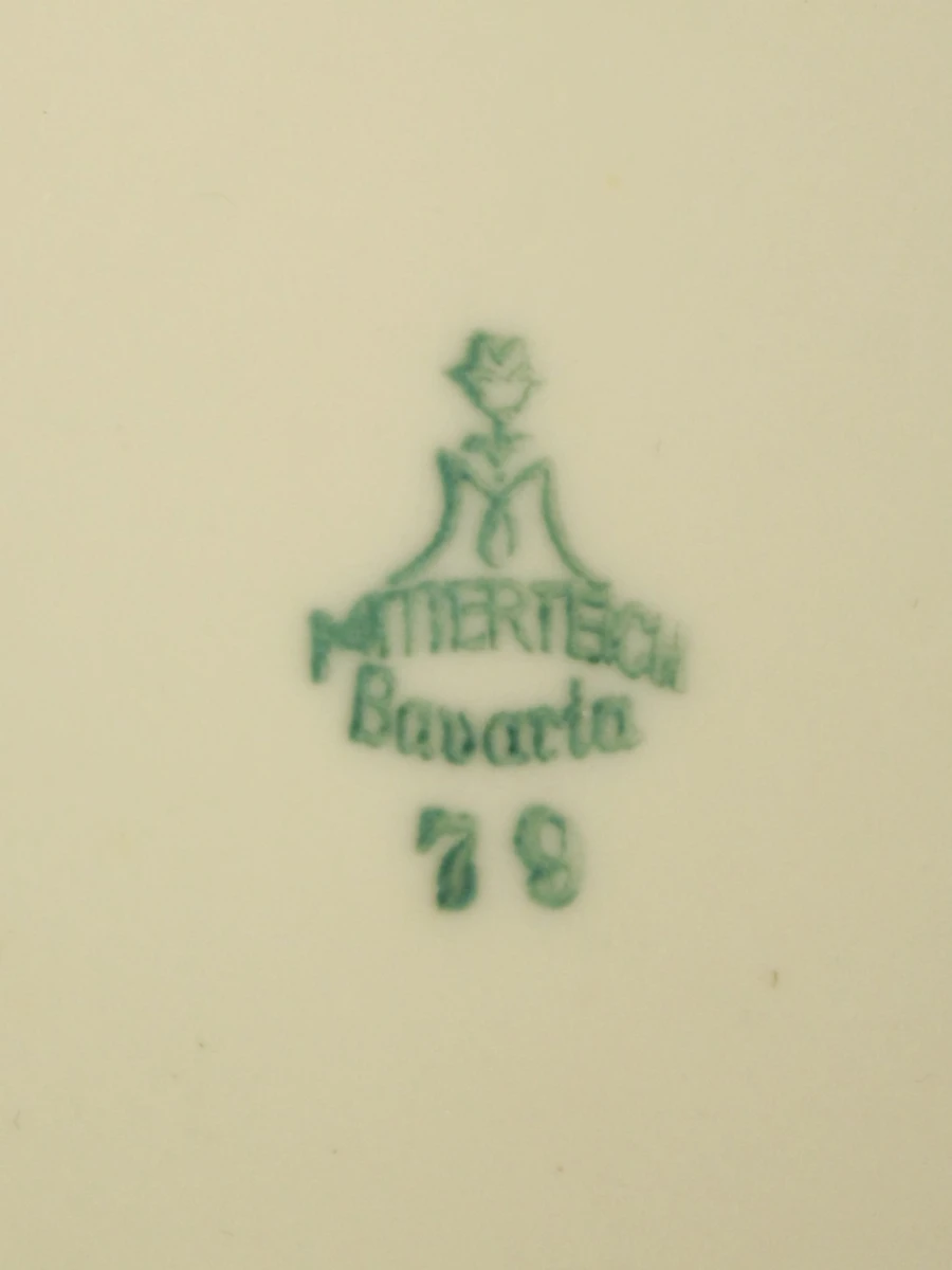 9-delige servies set van Mitterteich Bavaria - foto 11