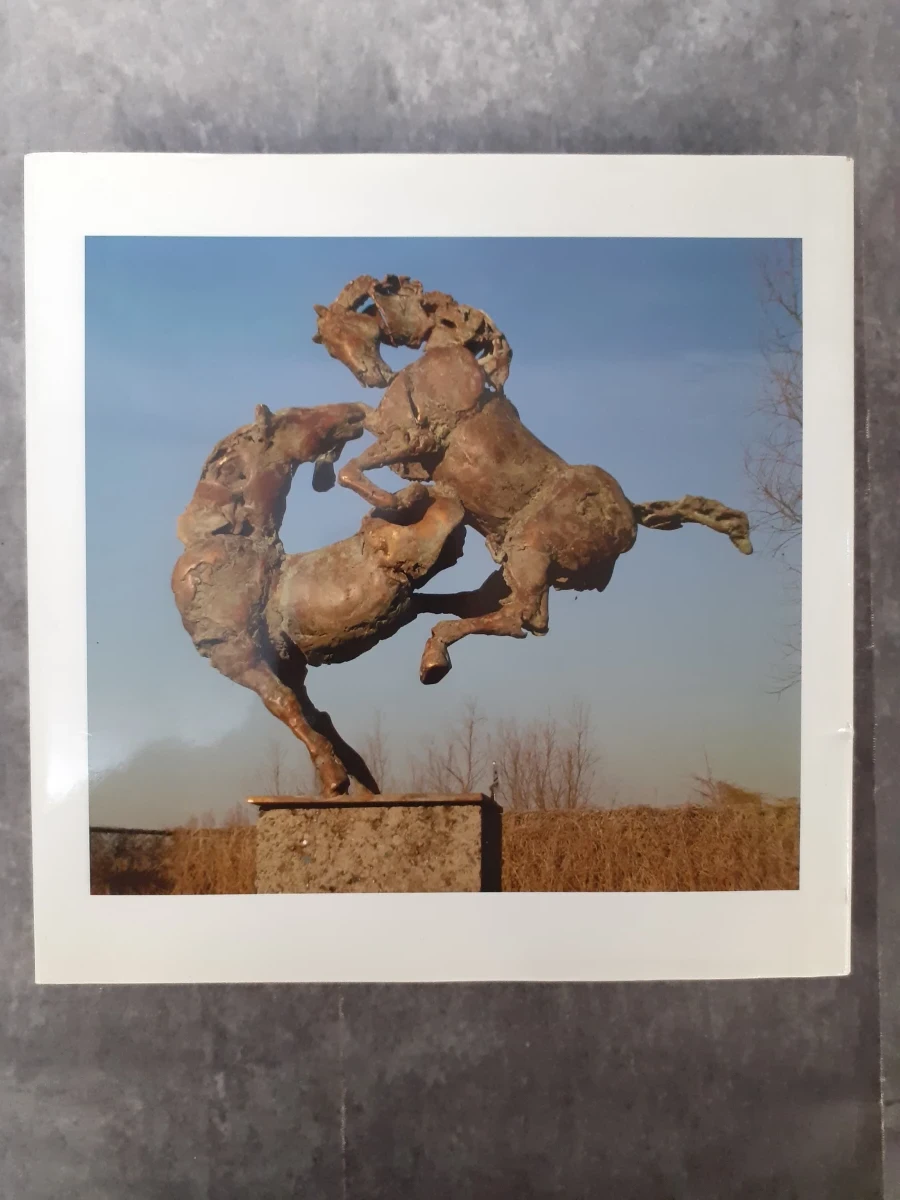 Boek: Jan Desmarets - Bronzen sculpturen